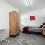 Livemore24 - 2 In Wlan - Smart-tv - 24-7 Check-in Und Kueche